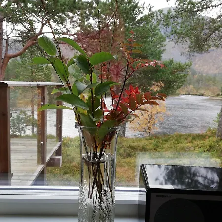 ロッジ Ved Gaularfjellet