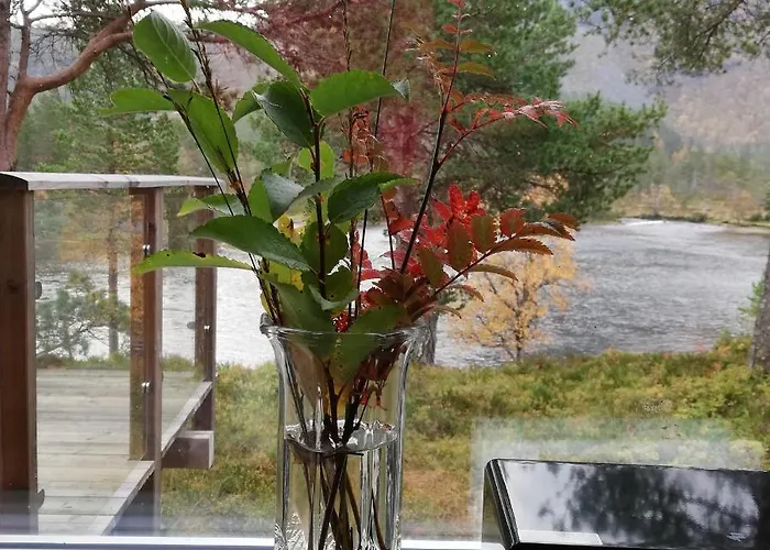 Lodger Ved Gaularfjellet